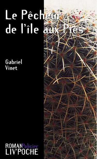 Le pêcheur de l'île aux Pies