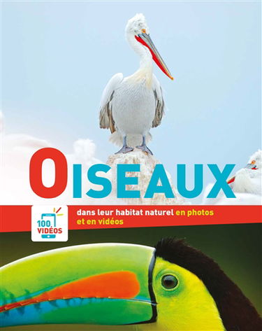 Oiseaux dans leur habitat naturel en photos et en vidéos