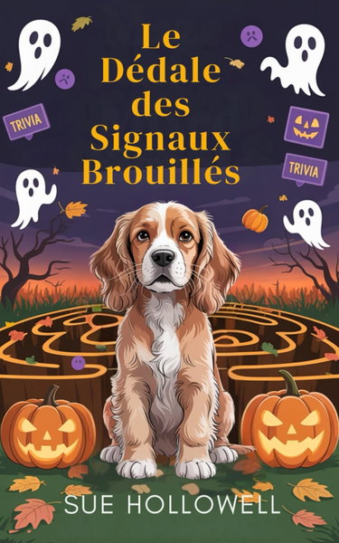 Couverture de Le Dédale des Signaux Brouillés