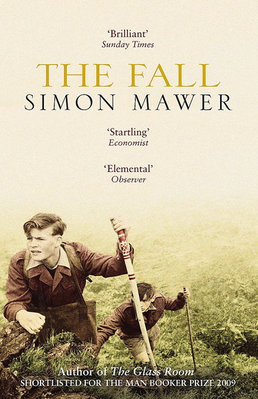 Couverture de The Fall