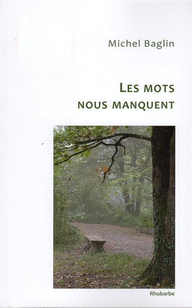 Couverture de Les mots nous manquent