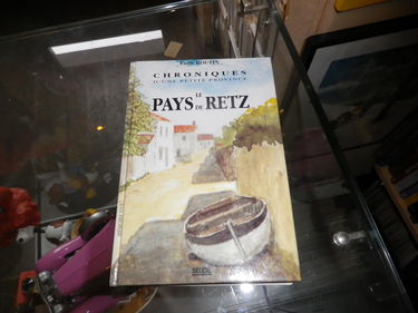 Chroniques d'une petite province : le pays de Retz