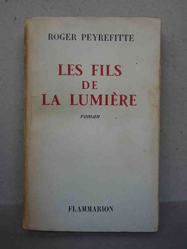 Les fils de la lumière - roman