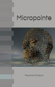 Micropointe