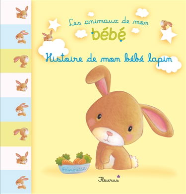 Histoire de mon bébé lapin