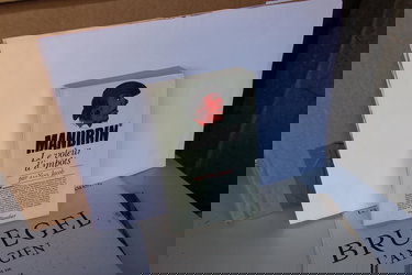 Mandrin : le voleur d'impôts