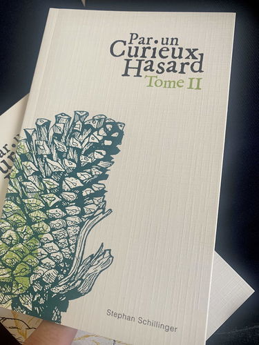 Par un Curieux Hasard - Tome II