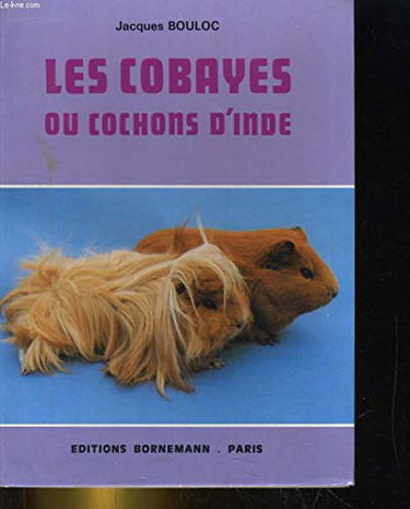 Les Cobayes ou cochons d'Inde
