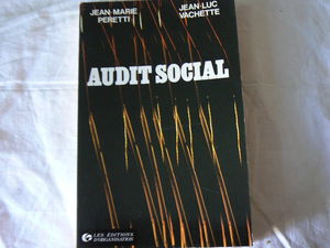 Audit social