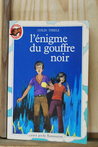 L'enigme du gouffre noir: - MYSTERE/POLICIER, JUNIOR DES 10/11 ANS