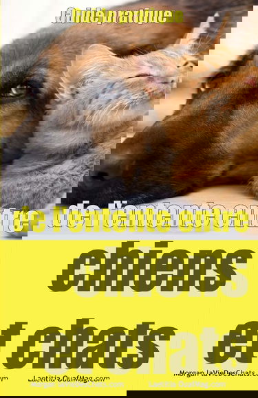 Guide pratique de l'entente entre chiens et chats