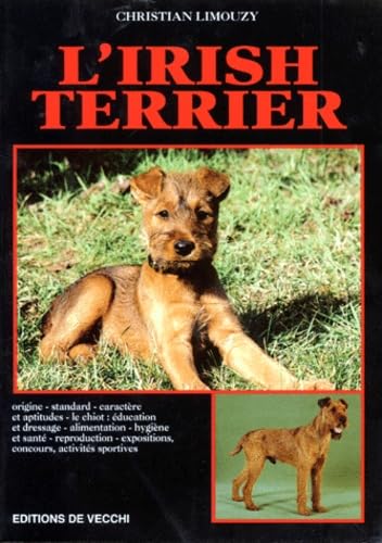 L'irish terrier