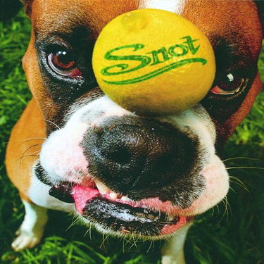 Couverture de Get Some par Snot