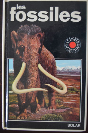 Les fossiles