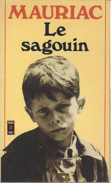 Le Sagouin