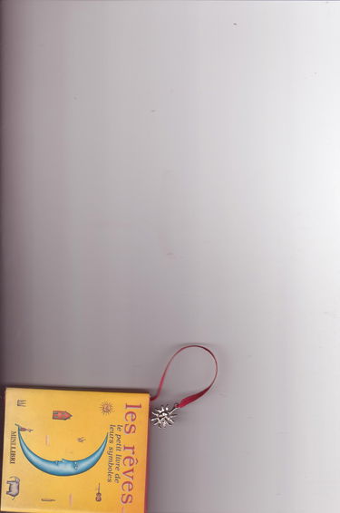 Les rêves, le petit livre de leurs symboles