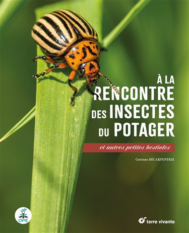 A la rencontre des insectes du potager : et autres petites bestioles