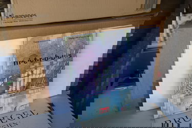 Métrobus : De l'idée à la mise en service