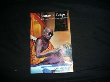 Connatre l'esprit selon le bouddhisme tibtain