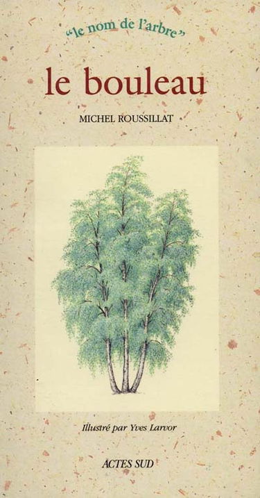 Le bouleau