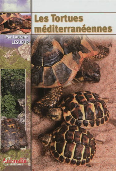 Les tortues méditerranéennes