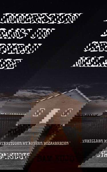 Immersion dans un cerveau malade