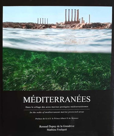 Méditerranées : Dans le sillage des aires marines protégèes méditerranéennes (Préface de S.A.S. le Prince Albert II de Monaco)