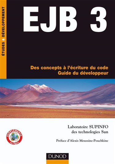 EJB 3 : des concepts à l'écriture du code : guide du développeur