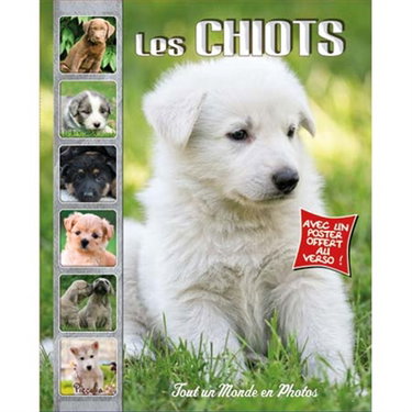 Les chiots