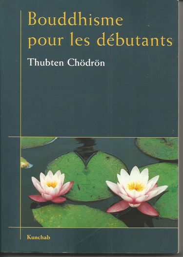 Bouddhisme pour les débutants