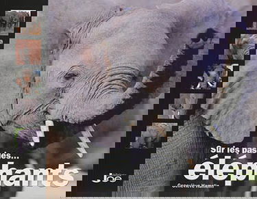 Sur les pas des... éléphants