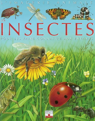 Les insectes : pour les faire connaître aux enfants