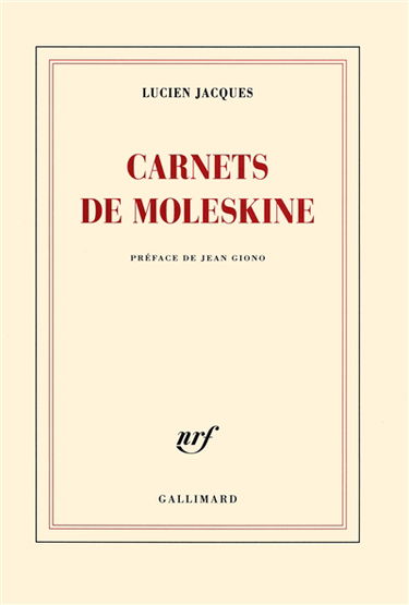 Carnets de moleskine