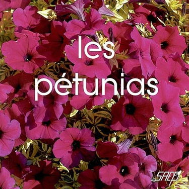 Les pétunias