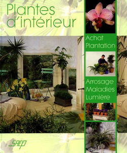 Plantes d'intérieur