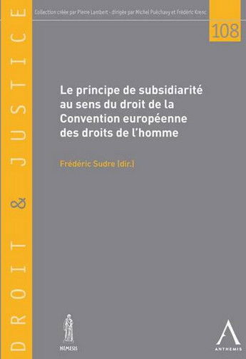Le principe de subsidiarité au sens du droit de la Convention européenne des droits de l'homme