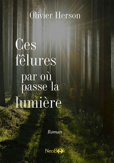 Ces fêlures par où passe la lumière