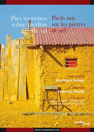 Pies morenos sobre piedras de sal. Pieds nus sur les pierres de sel