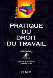 Pratique du droit du travail