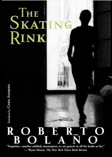Couverture de The Skating Rink