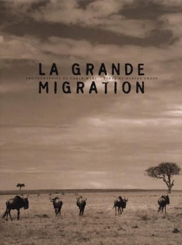 La grande migration des gnous