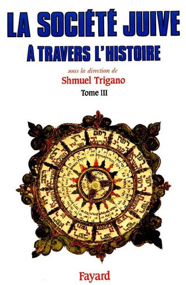 La Société juive à travers l'histoire. Vol. 3. Le Passage d'Israël