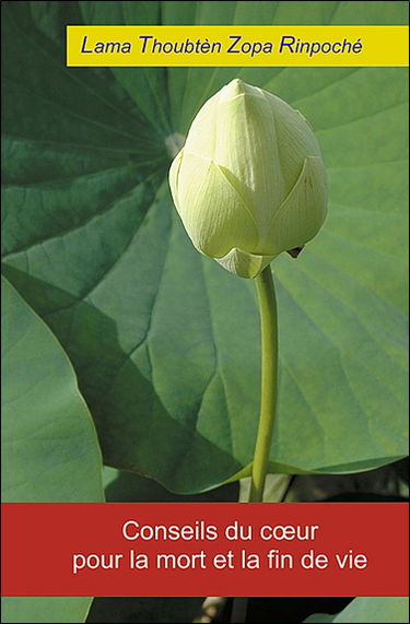 Conseils du coeur pour la mort et la fin de vie