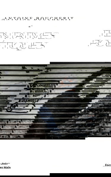 Tentatives poétiques