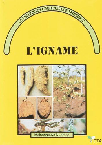 L'igname