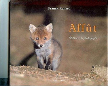 Affût - Patience du photographe