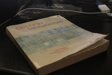 Gestion des organisations : Principes et Tendances au XXIe siècle