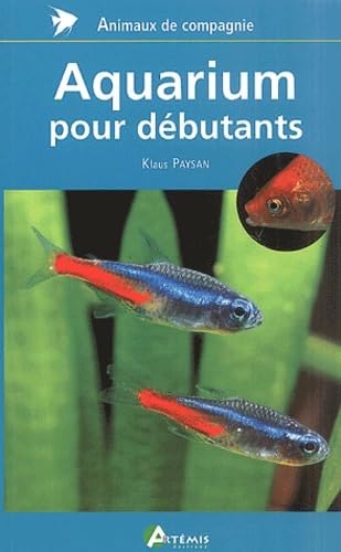 Aquarium pour débutants