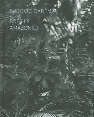 Brésils : Amazonie