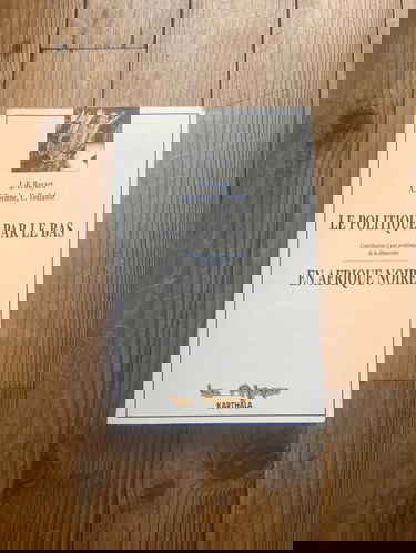 La politique par le bas en Afrique noire : contributions à une problématique de la démocratie